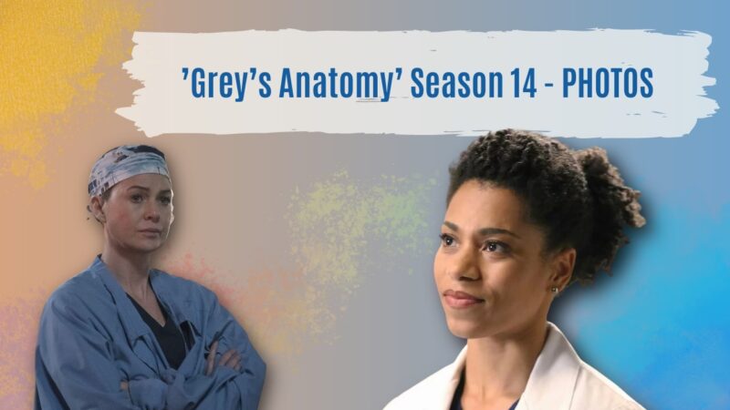 Grey’s Anatomy TV Series Season 14 - PHOTOS
