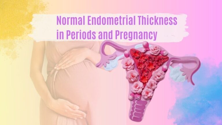 Normal Endometrial Thickness in Periods and Pregnancy