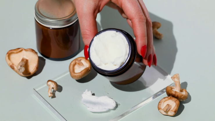 Mushroom Beauty Products