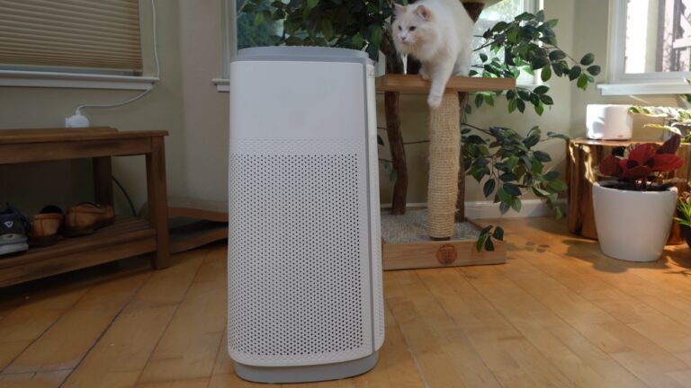 10 Best Air Purifiers for Pets 2024: Tips to Keep Your Home Fresh