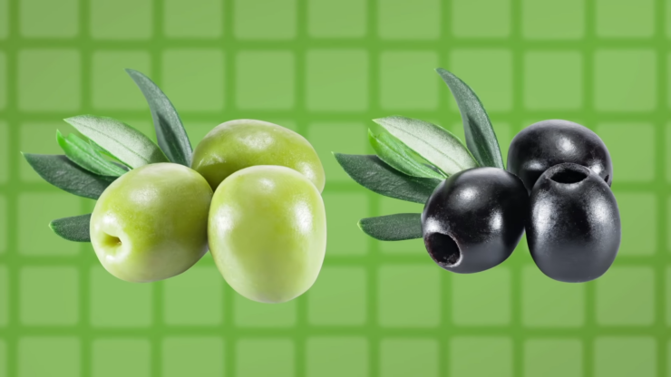 Understanding Olive Varieties